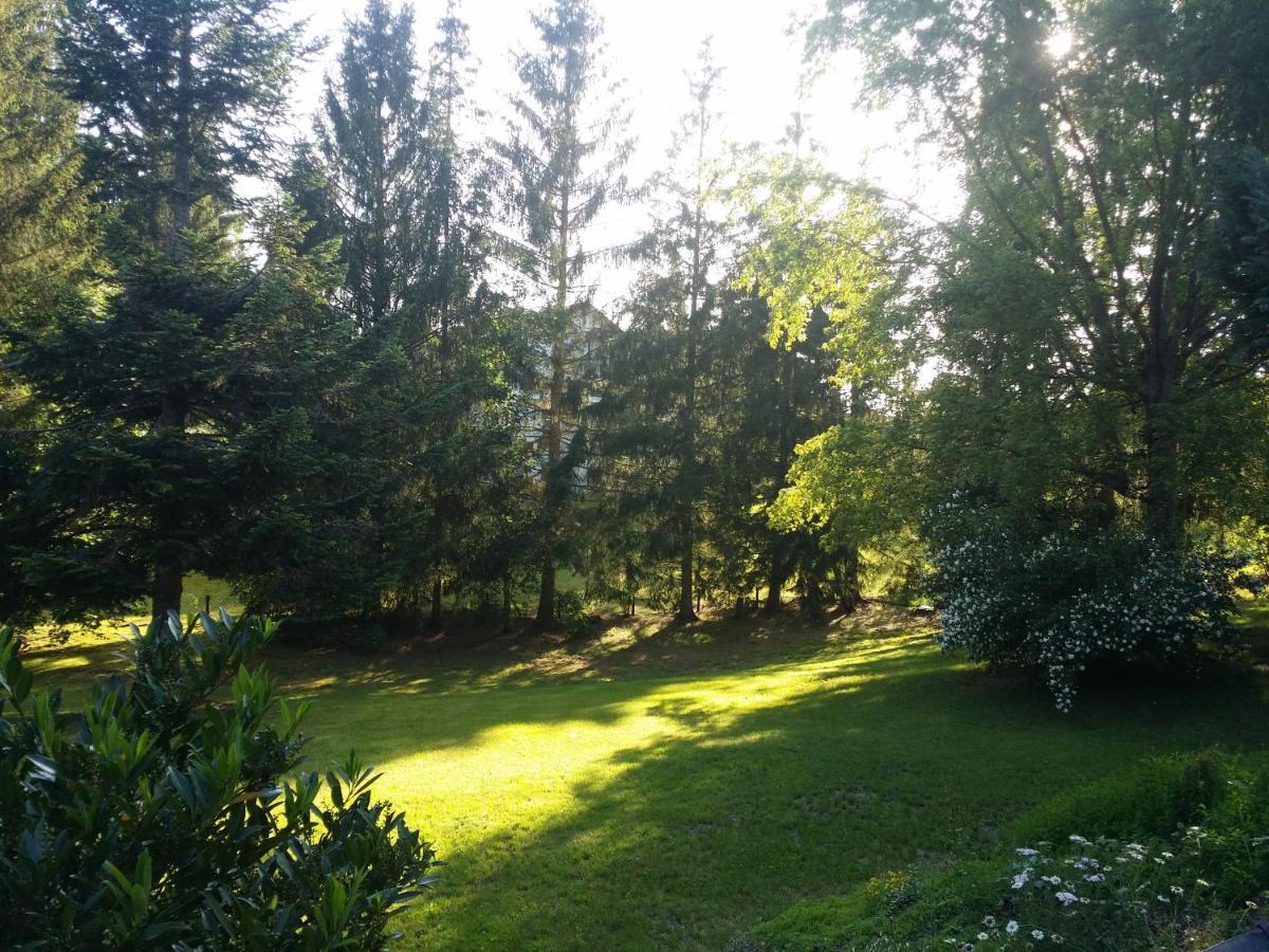 Apartment Schwarzwald - Appartments Titisee-Neustadt