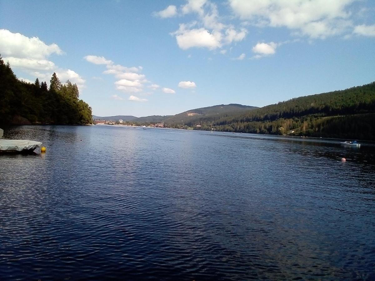 Schwarzwald - Appartments * Titisee-Neustadt