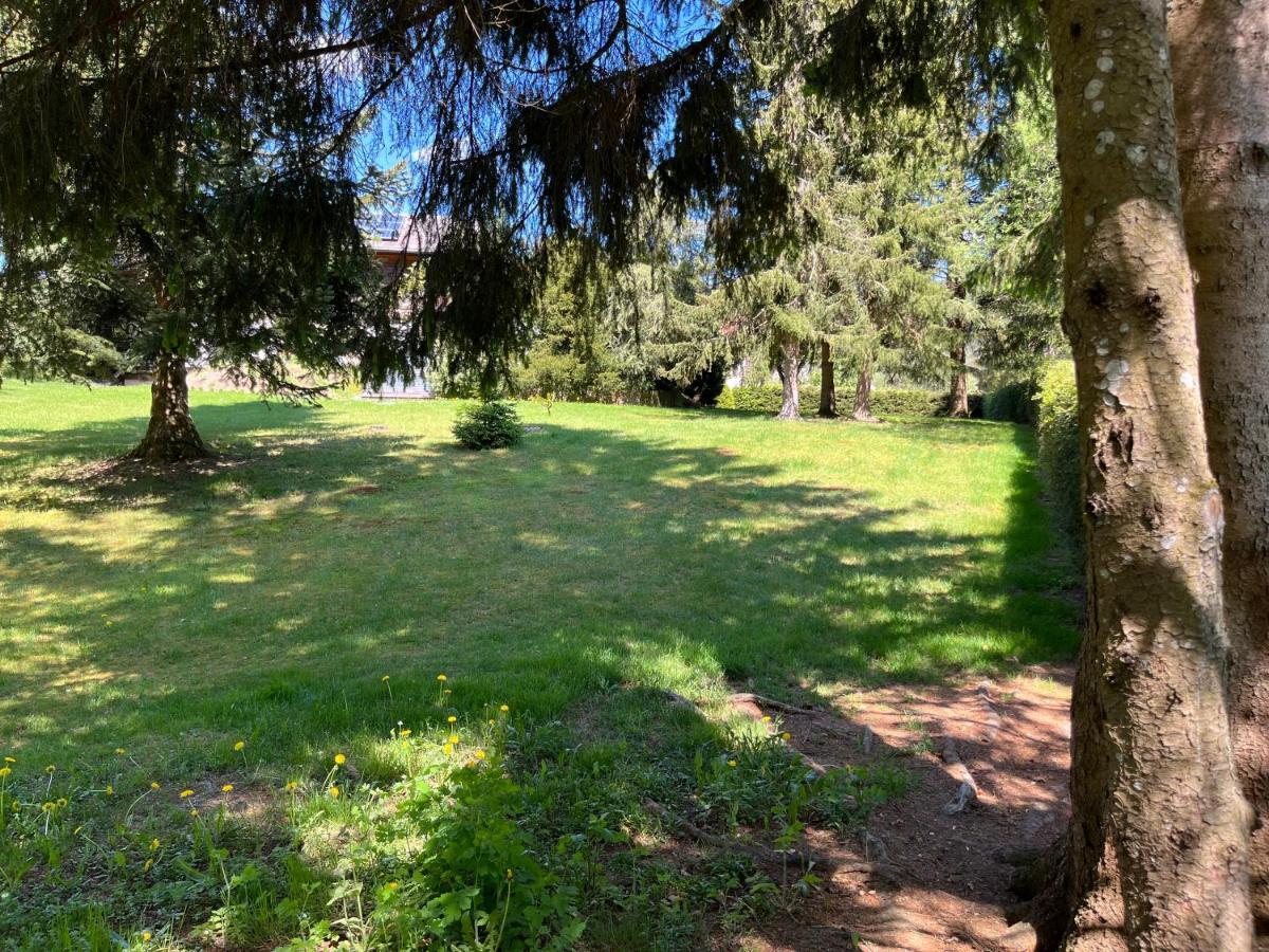 Schwarzwald - Appartments Titisee-Neustadt