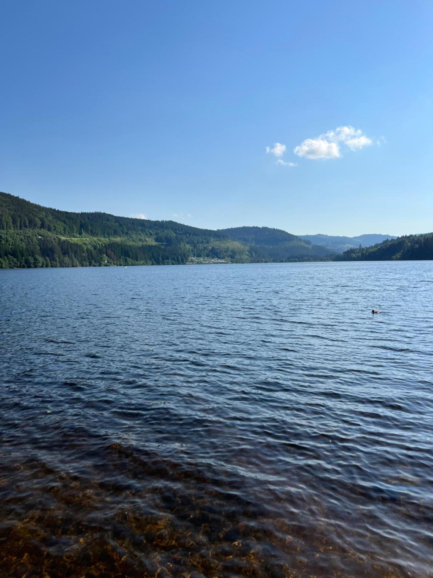 Schwarzwald - Appartments Titisee-Neustadt